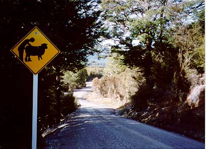 sign.jpg (38809 bytes) border=